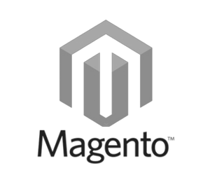 Magento SEO Technical